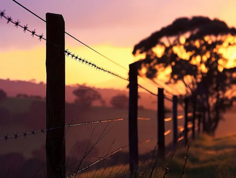 Cerca Elétrica Rural em Goiânia